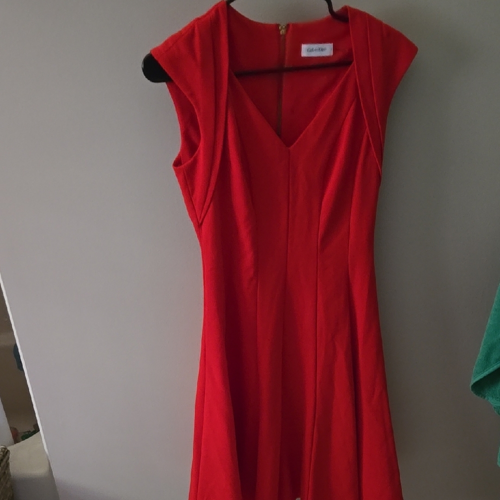 Calvin Klein Scarlet Mini Dress